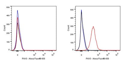 S-RMab® PAX5 Recombinant Rabbit mAb (SDT-R202)