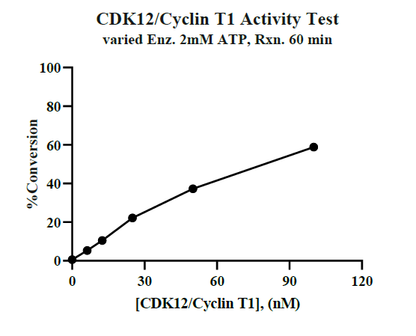 CDK12/Cyclin T1 Protein