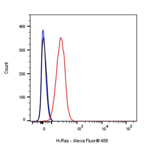 H-Ras Recombinant Rabbit mAb (S-1017-79)