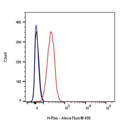 H-Ras Recombinant Rabbit mAb (S-1017-79)