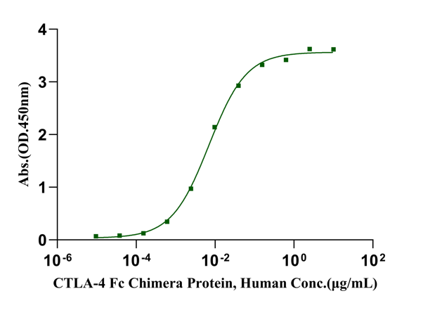 B7-1/CD80 His Tag Protein, Human