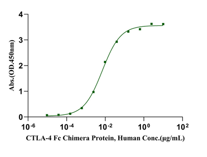 B7-1/CD80 His Tag Protein, Human