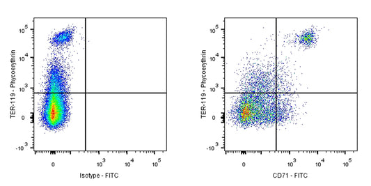 FITC Rat Anti-Mouse CD71 Antibody (RI7217)