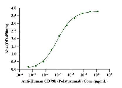 CD79B His Tag Protein, Human