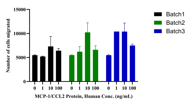 MCP-1/CCL2 Protein, Human