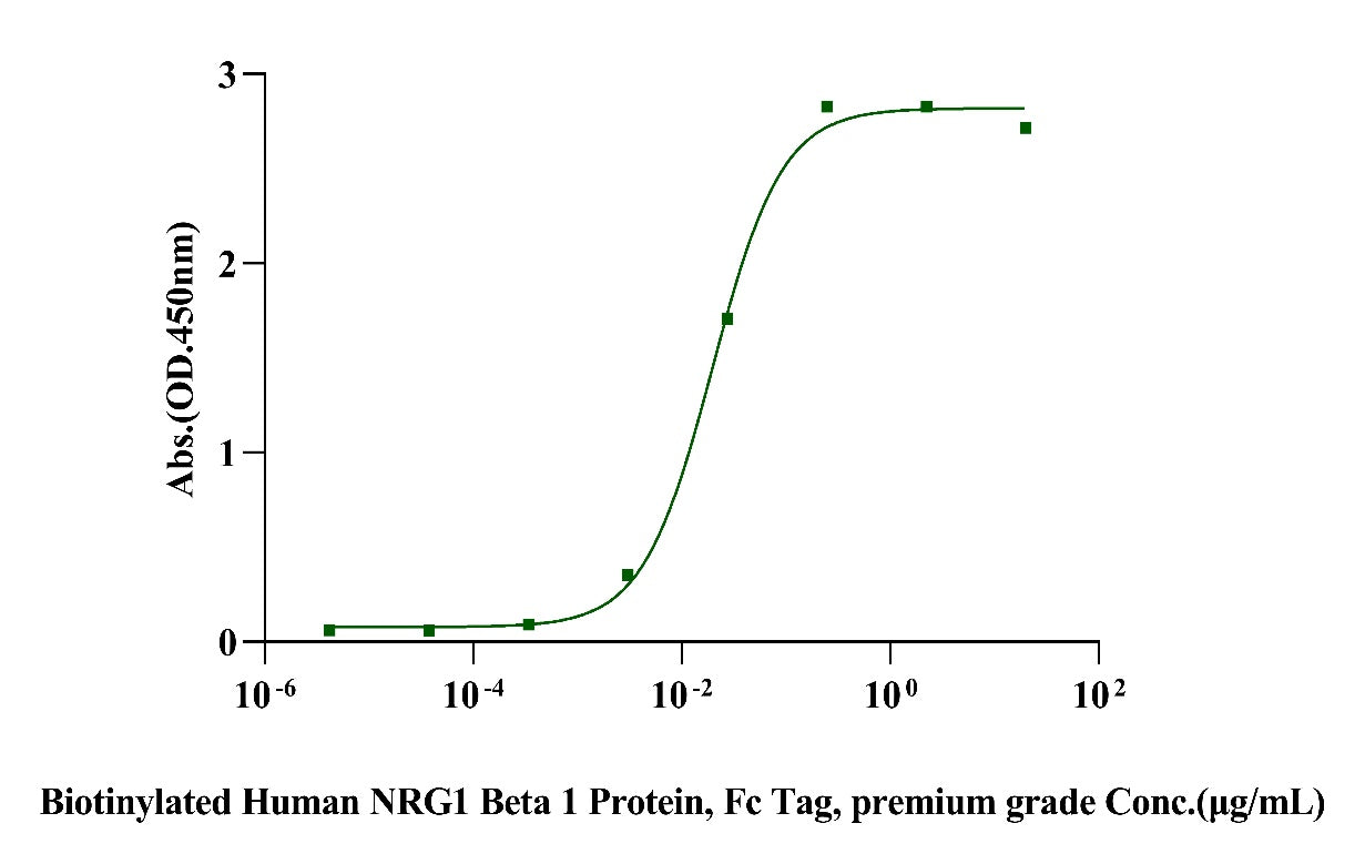 ErbB3/Her3 Fc Chimera Protein, Human