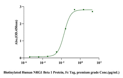 ErbB3/Her3 Fc Chimera Protein, Human