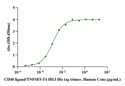 Biotinylated CD40 Avi&His Tag Protein, Human