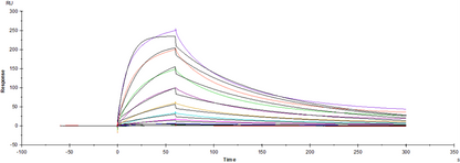 Nectin-2/CD112 His Tag Protein, Human
