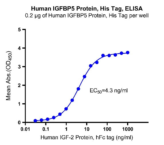 IGFBP5 His Tag Protein, Human