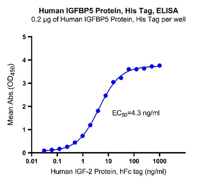 IGFBP5 His Tag Protein, Human