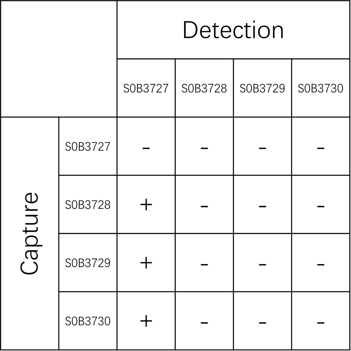 Rat alpha 1-Acid Glycoprotein 1 Recombinant mAb (SDT-2962-12-2)