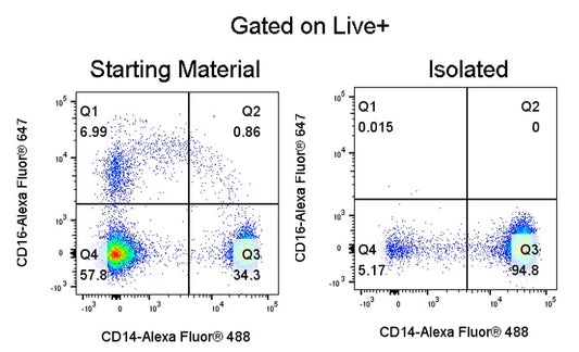 Human Classical Monocyte Isolation Kit (Column-Based)