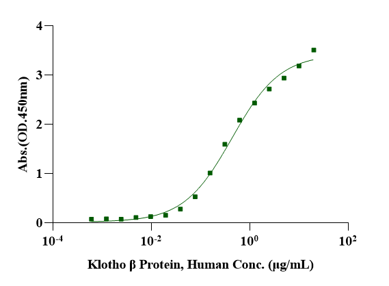 Klotho β Protein, Human