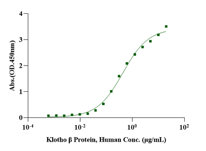 Klotho β Protein, Human