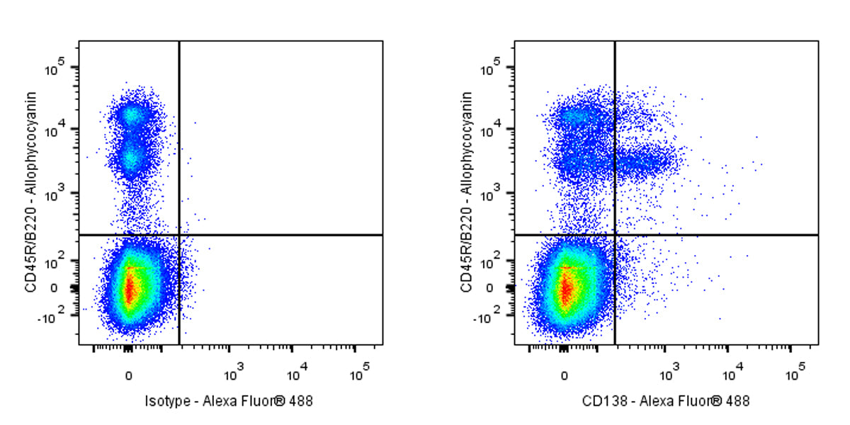 Alexa Fluor® 488 Rat Anti-Mouse CD138 Antibody (S-R514)