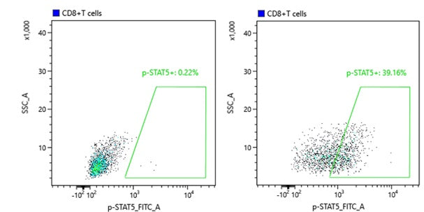 Phospho-Stat5 (Tyr694) Recombinant Rabbit mAb (S-1183-58)