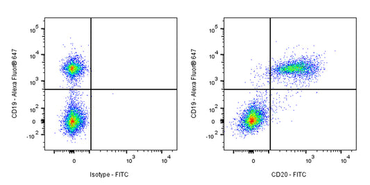 FITC Rat Anti-Mouse CD20 Antibody (S-R497)