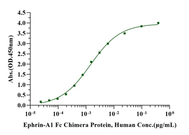 Ephrin-A1 Fc Chimera Protein, Human
