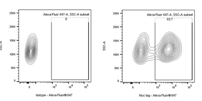 Myc tag Recombinant Rabbit mAb (Alexa Fluor® 647 Conjugate) (S-114-13)