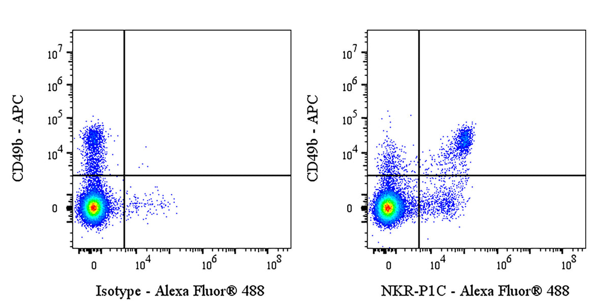 NKR-P1C Recombinant Rabbit mAb (S-4706)