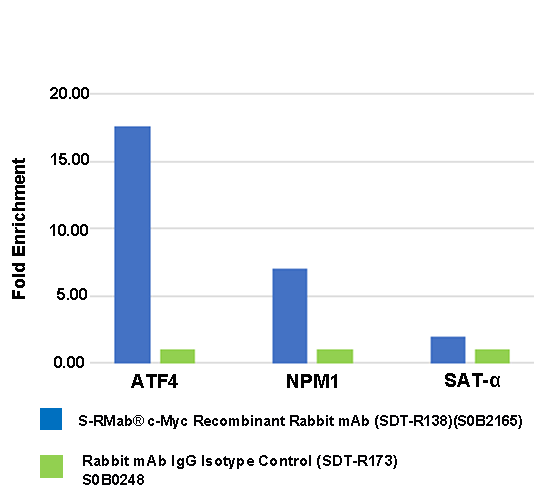 S-RMab® c-Myc Recombinant Rabbit mAb (SDT-R138)