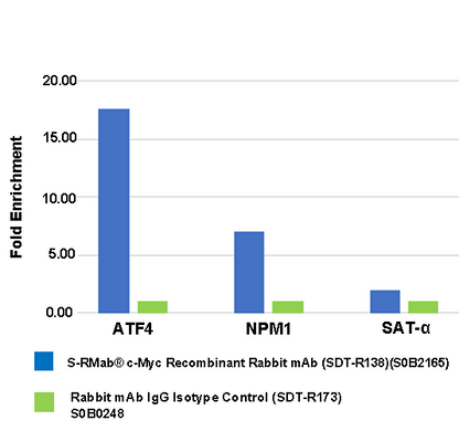 S-RMab® c-Myc Recombinant Rabbit mAb (SDT-R138)