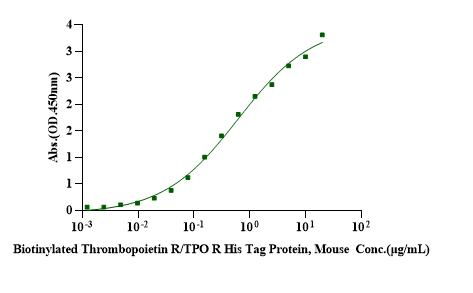 TPO (335aa) Protein, Mouse