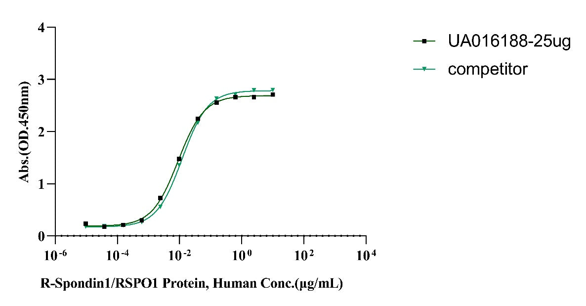 LGR5/GPR49 His Tag Protein, Cynomolgus