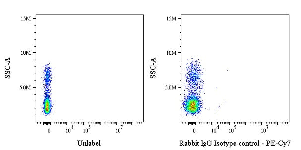 PE-Cy7 Rabbit IgG Isotype Control Antibody (S-R058)