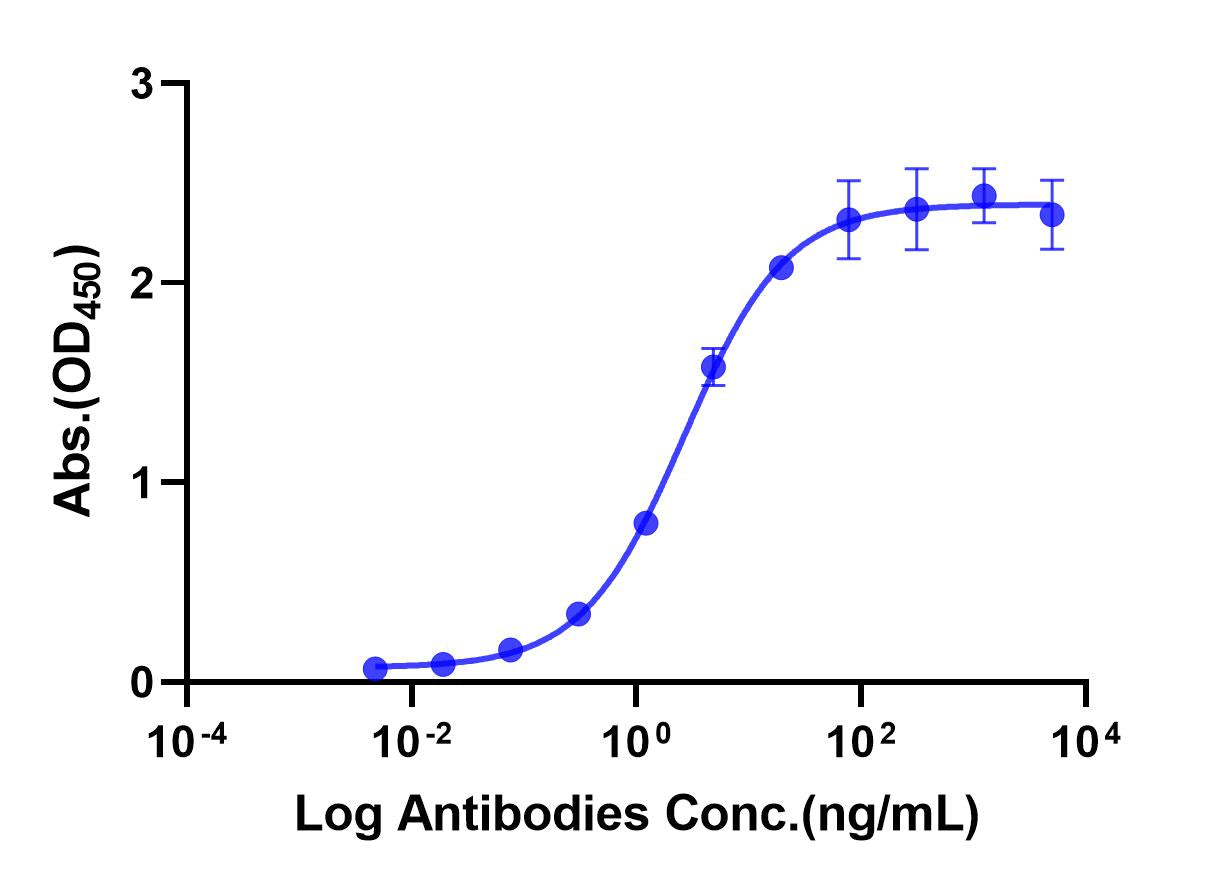 Anti-Human CEACAM5 Monoclonal Antibody (Labetuzumab)