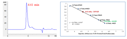 CDK9/Cyclin K Protein