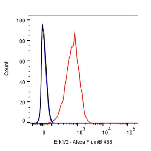 Erk1/2 Recombinant Rabbit mAb (S-3178)