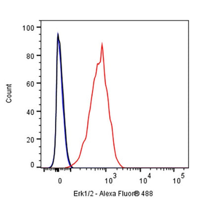 Erk1/2 Recombinant Rabbit mAb (S-3178)