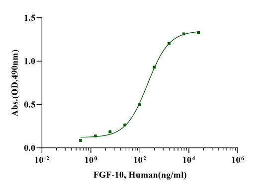 FGF-10 Protein, Human