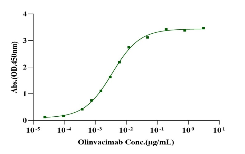 VEGF R2/KDR His Tag Protein, Rhesus macaque