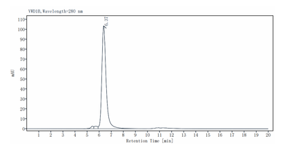 CD221/IGF1R His Tag Protein, Human