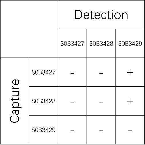 IFN-alpha2 Recombinant Rabbit mAb (SDT-160-283)