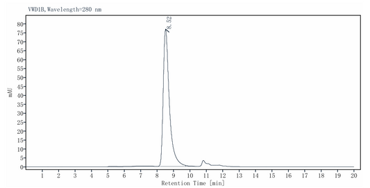 Siglec-3 (R69G) His Tag Protein, Human