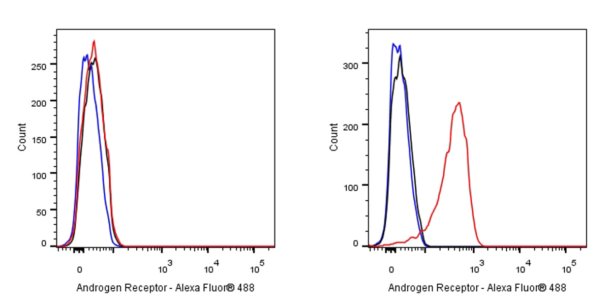 Androgen Receptor Recombinant Rabbit mAb (SDT-R157)