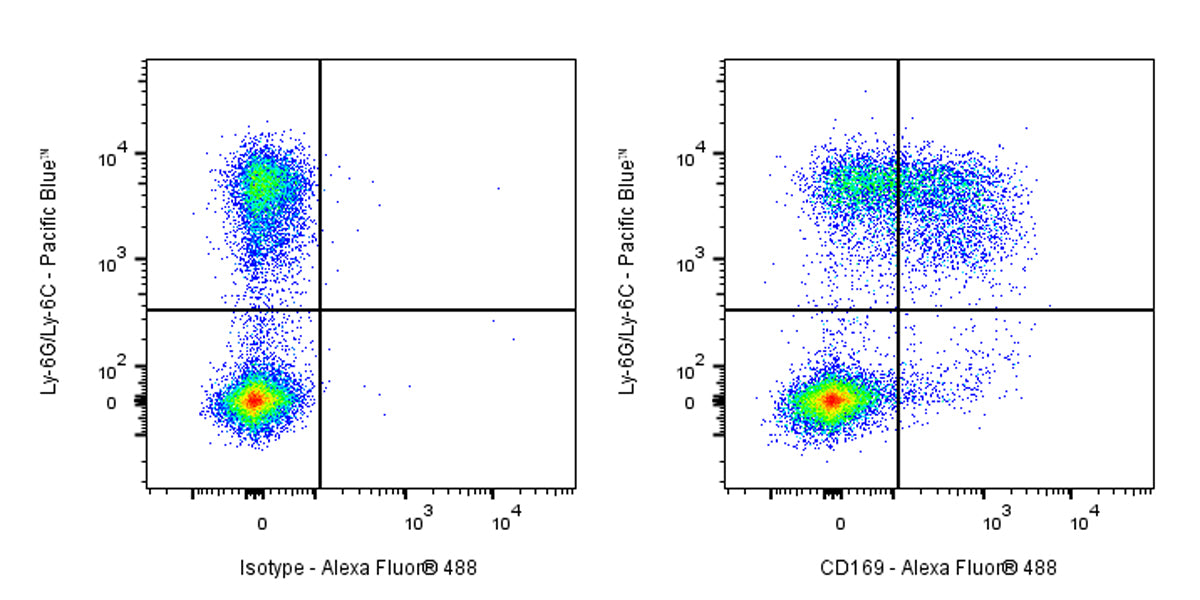 Rat Anti-Mouse CD169 Antibody (S-R594)