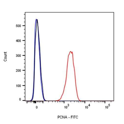 PCNA Recombinant Rabbit mAb (FITC Conjugate) (SDT-297-116)