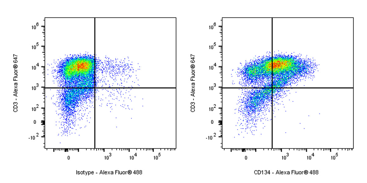 Alexa Fluor® 488 Mouse Anti-Human CD134 Antibody (ACT35)