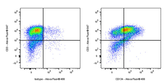 Alexa Fluor® 488 Mouse Anti-Human CD134 Antibody (ACT35)