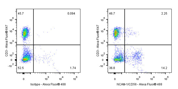 NCAM-1/CD56 Mouse mAb (S-577-58)