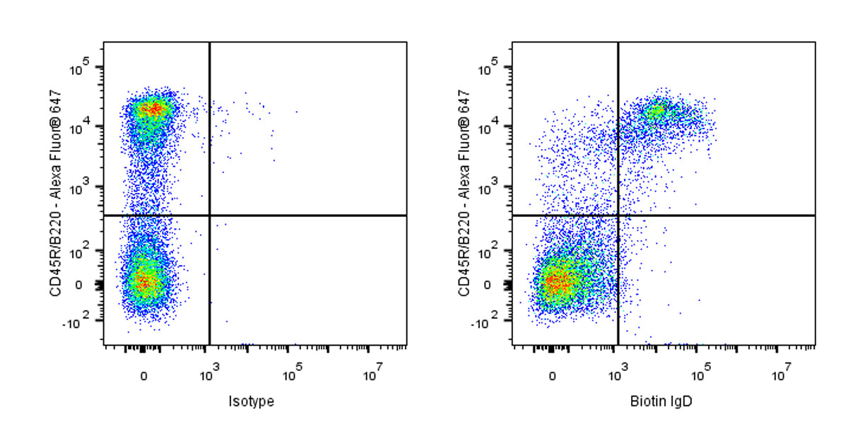 Biotin Rat Anti-Mouse IgD Antibody (S-R622)