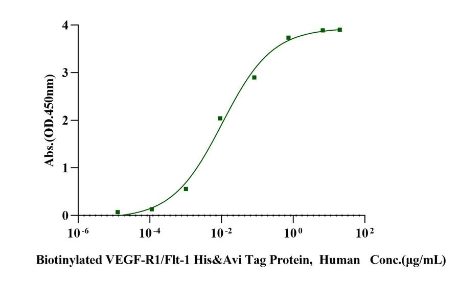 Biotinylated VEGF-R1/Flt-1 His&Avi Tag Protein,  Human