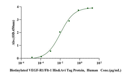 Biotinylated VEGF-R1/Flt-1 His&Avi Tag Protein,  Human