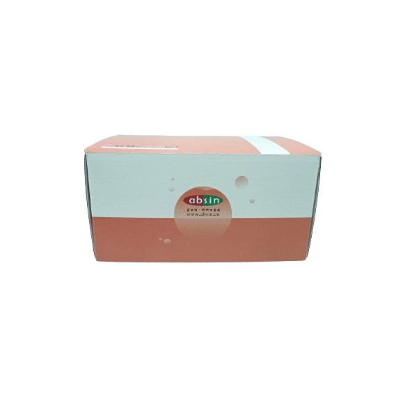 Product image media