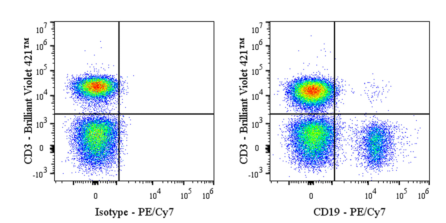 PE-Cy7 Mouse Anti-Human CD19 Antibody (S-1039-46)